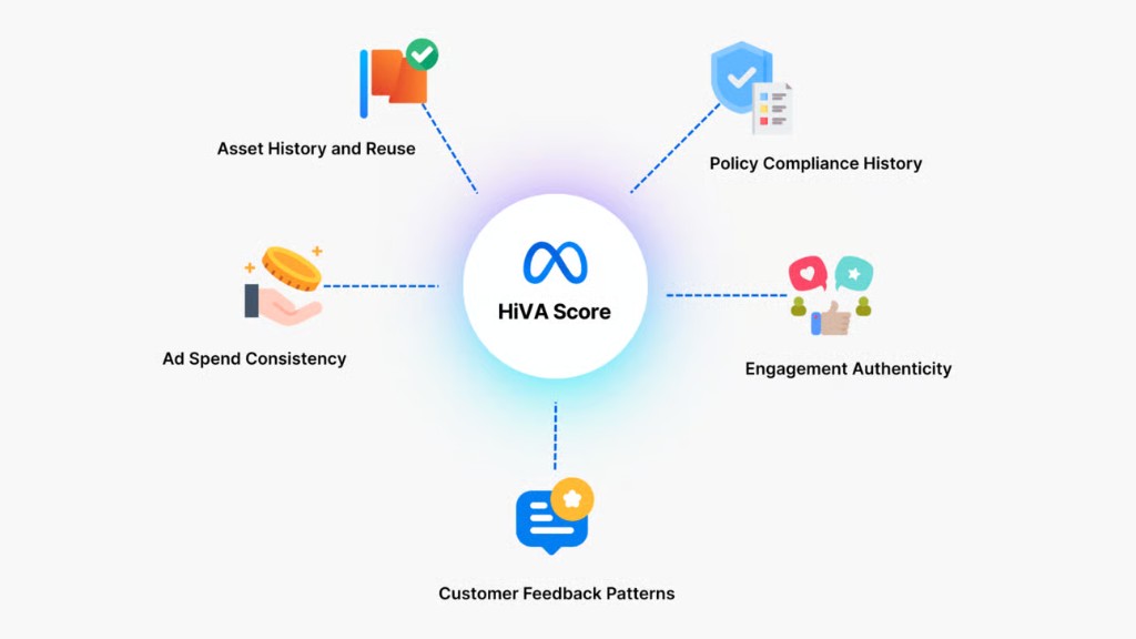 Key Factors That Influence Your HiVA Score